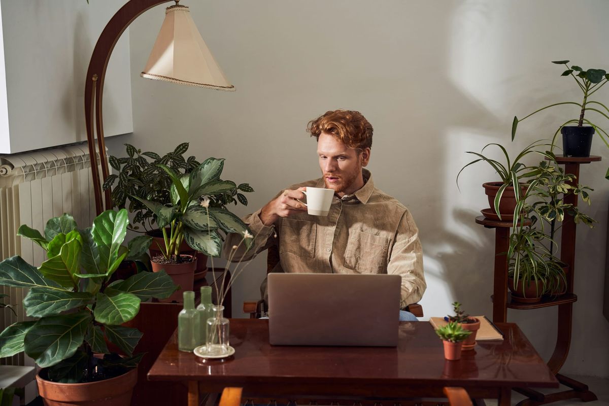 Remote Work's Impact on Job Markets and Employment